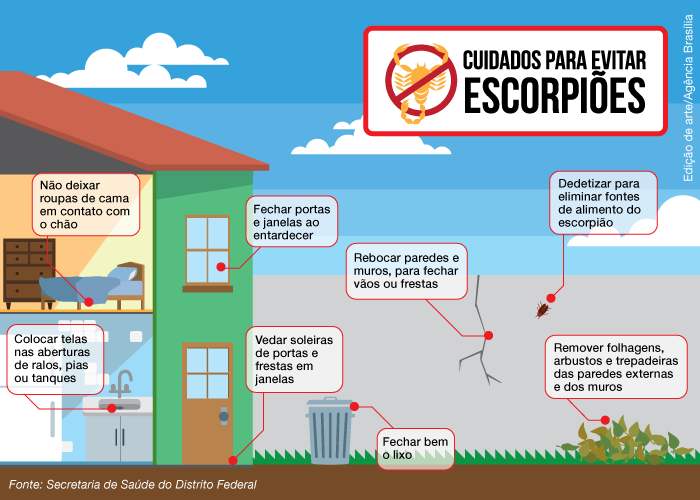 cuidados evitar escorpioes agencia brasilia