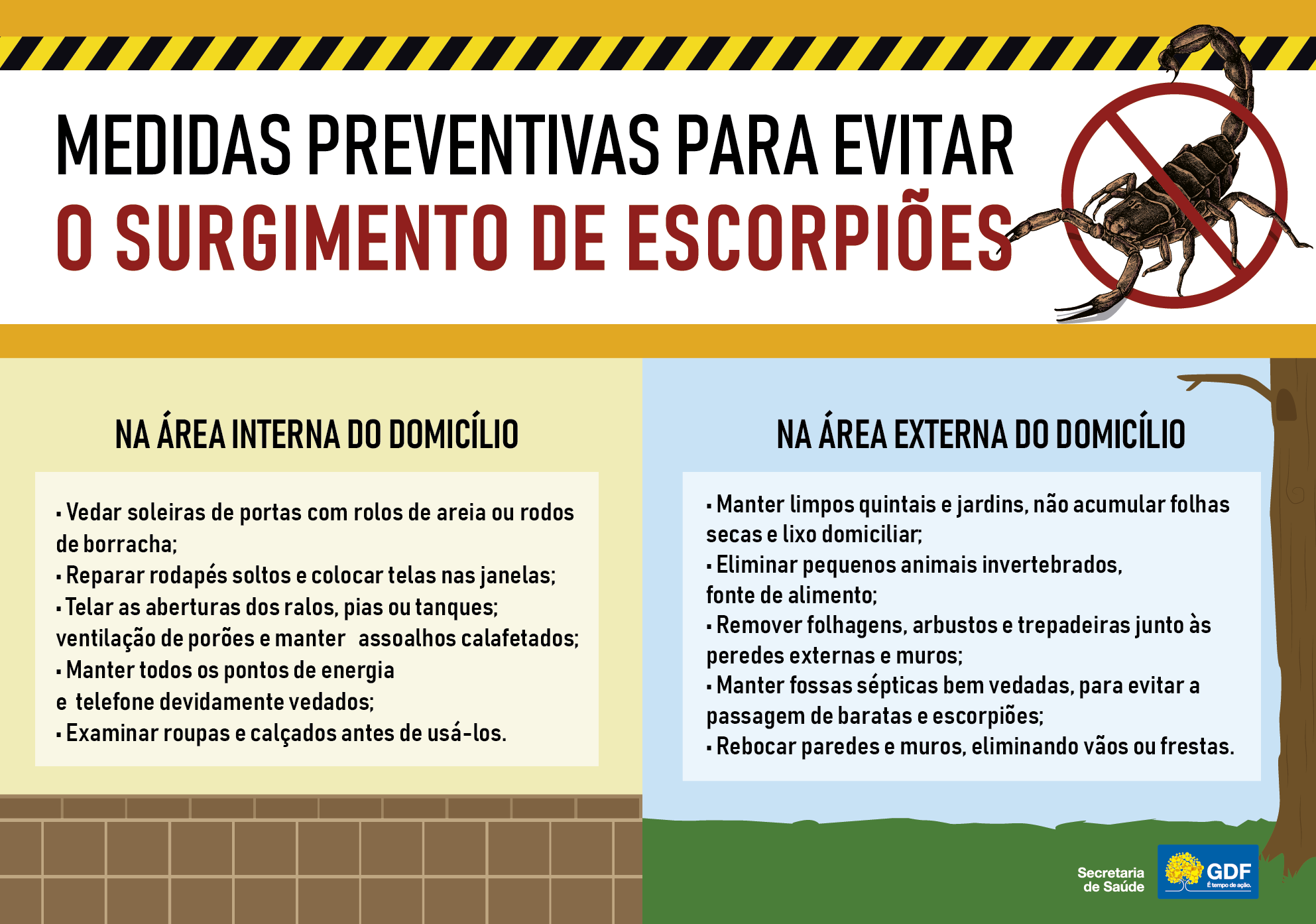 Limpeza adequada ainda é a melhor prevenção contra escorpiões – Agência  Brasília