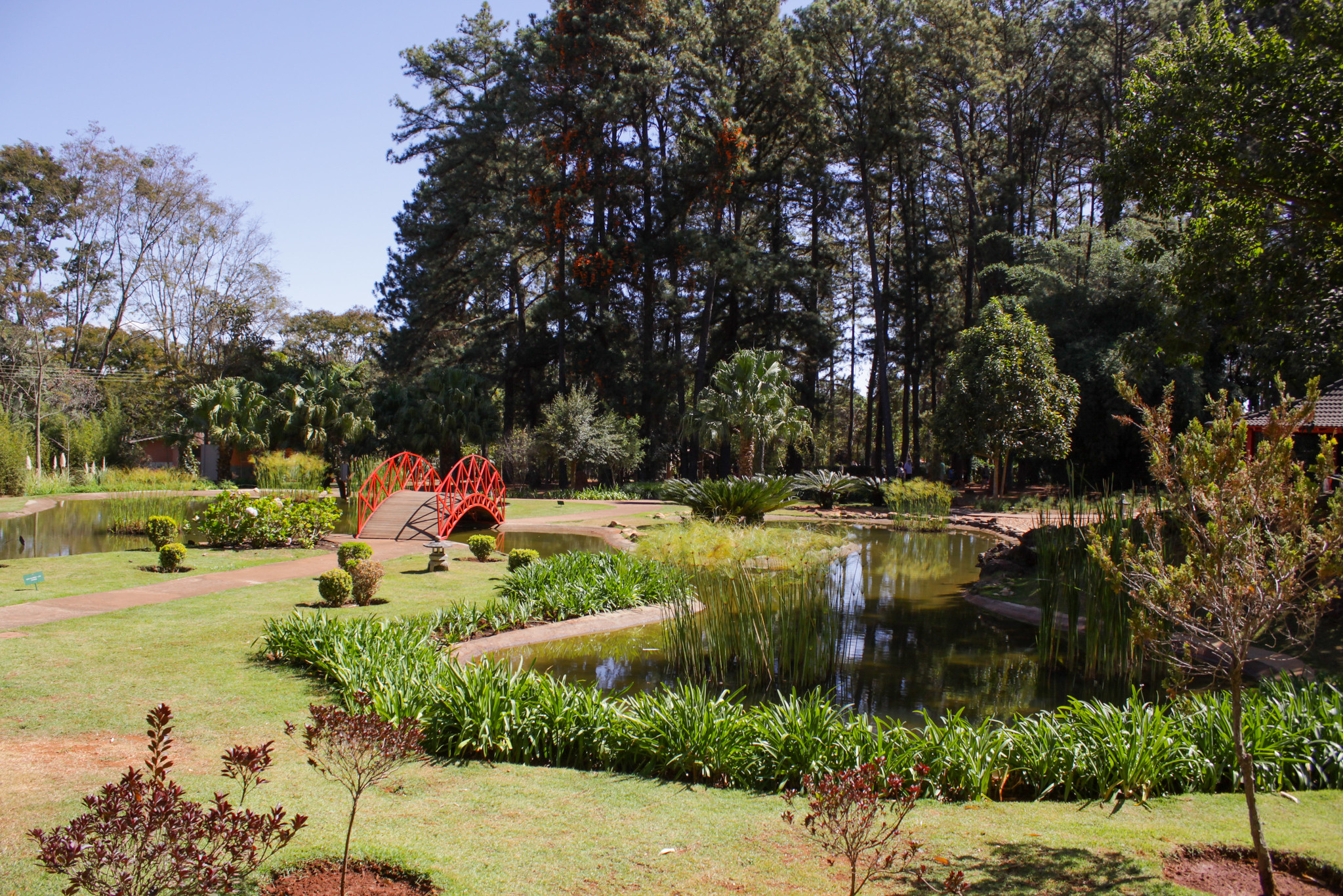 Parque Nacional de Brasília (AGUA MINERAL): Brasilia National Park em 2023