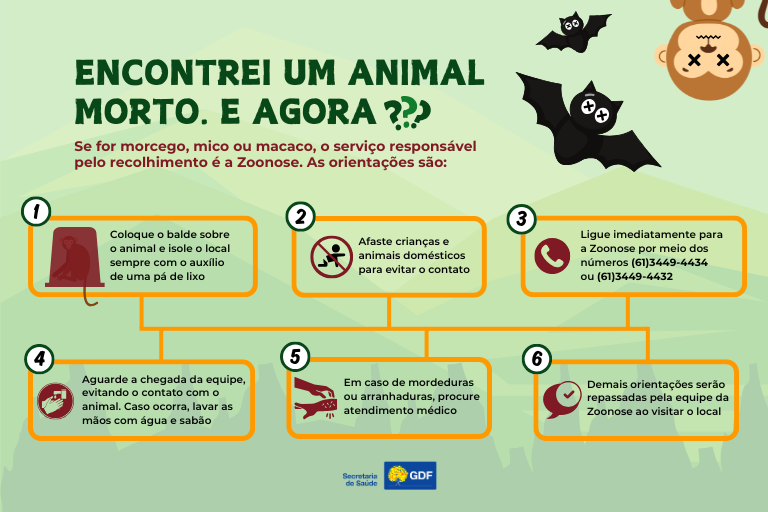 Artes-para-site-768-x-512-9 Conheça as orientações para o recolhimento de animais mortos com segurança