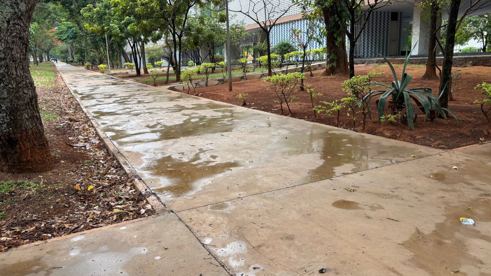 Calçadas das quadras residenciais e comerciais da Asa Sul passam por reforma