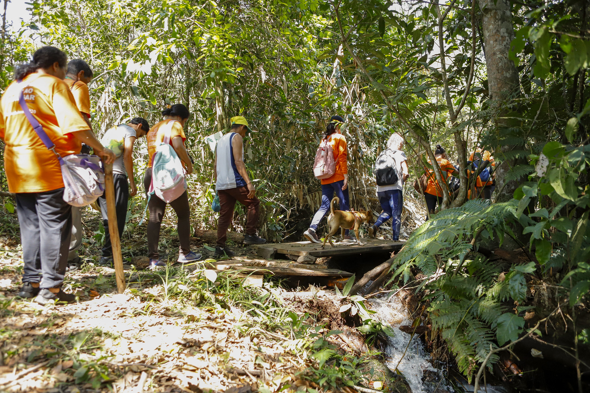 Natureza como terapia: Cerrado auxilia na recuperação emocional