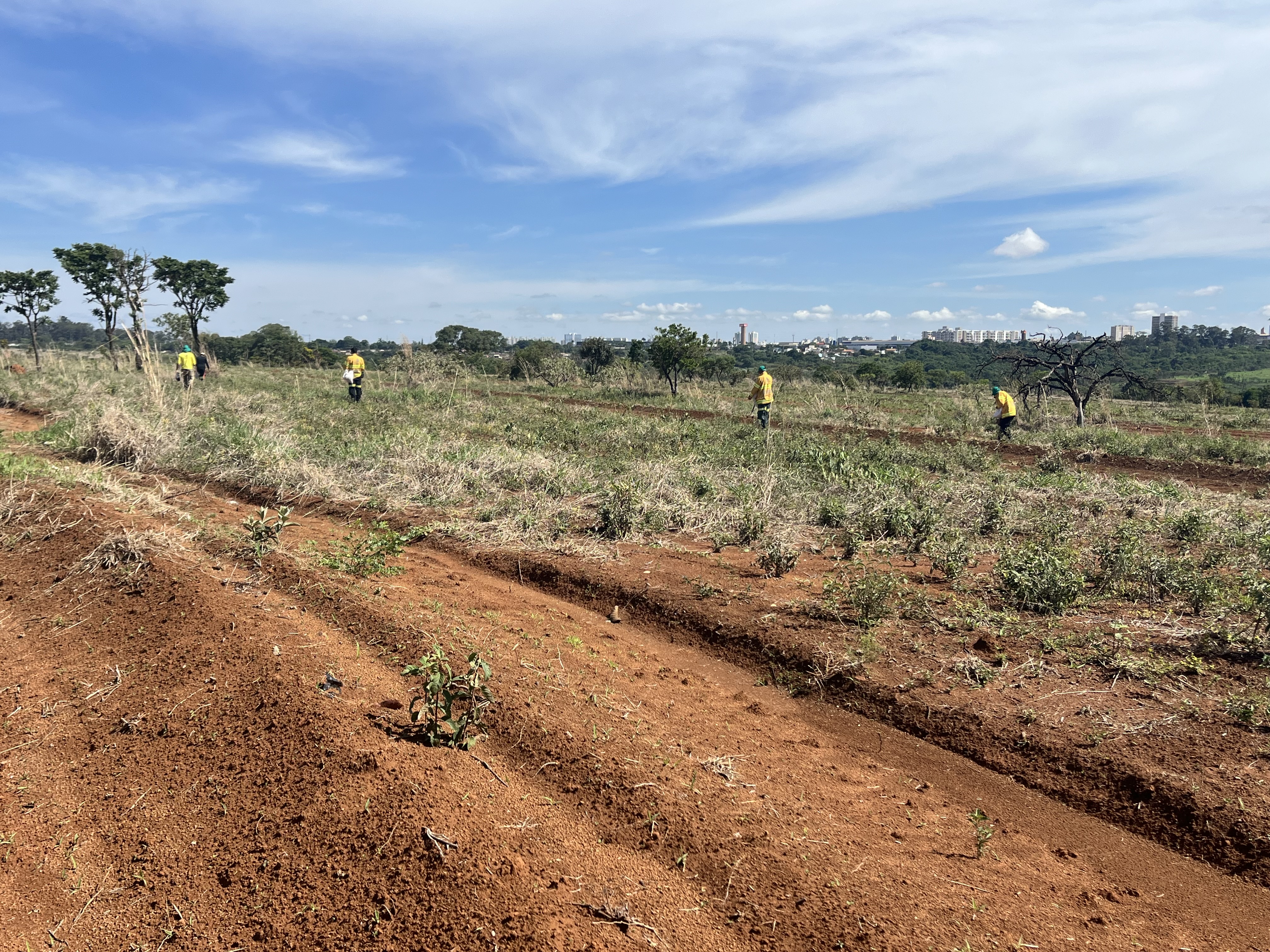 Área degradada no Parque Ecológico do Riacho Fundo começa a ser restaurada
