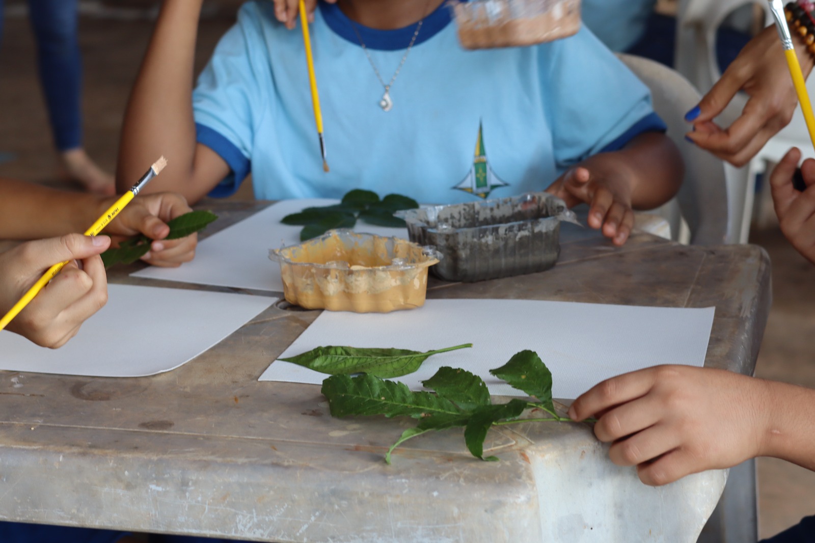 Projeto incentivado por ONG belga integra programas do DF e promove educação ambiental com arte