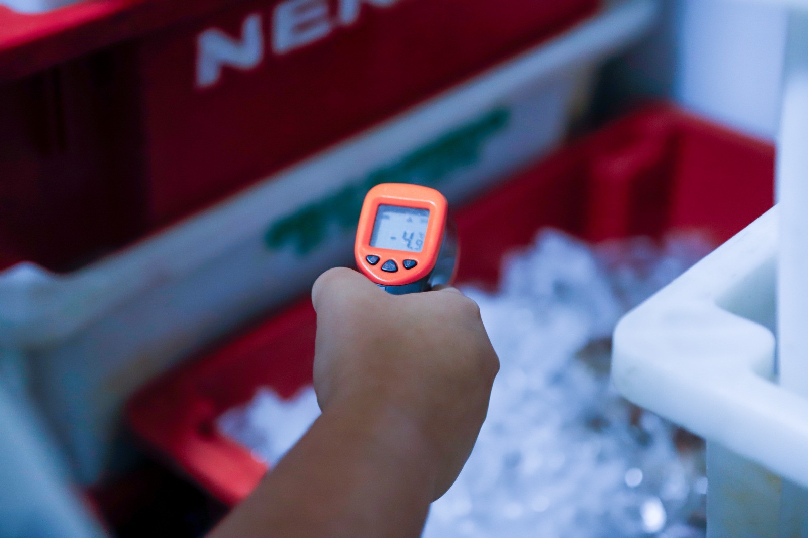 Operação Semana Santa apreende cerca de 1,5 tonelada de pescados&nbsp;