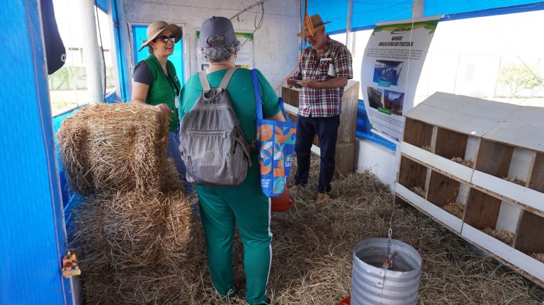 AgroBrasília 2025 terá, entre os destaques, dez circuitos tecnológicos