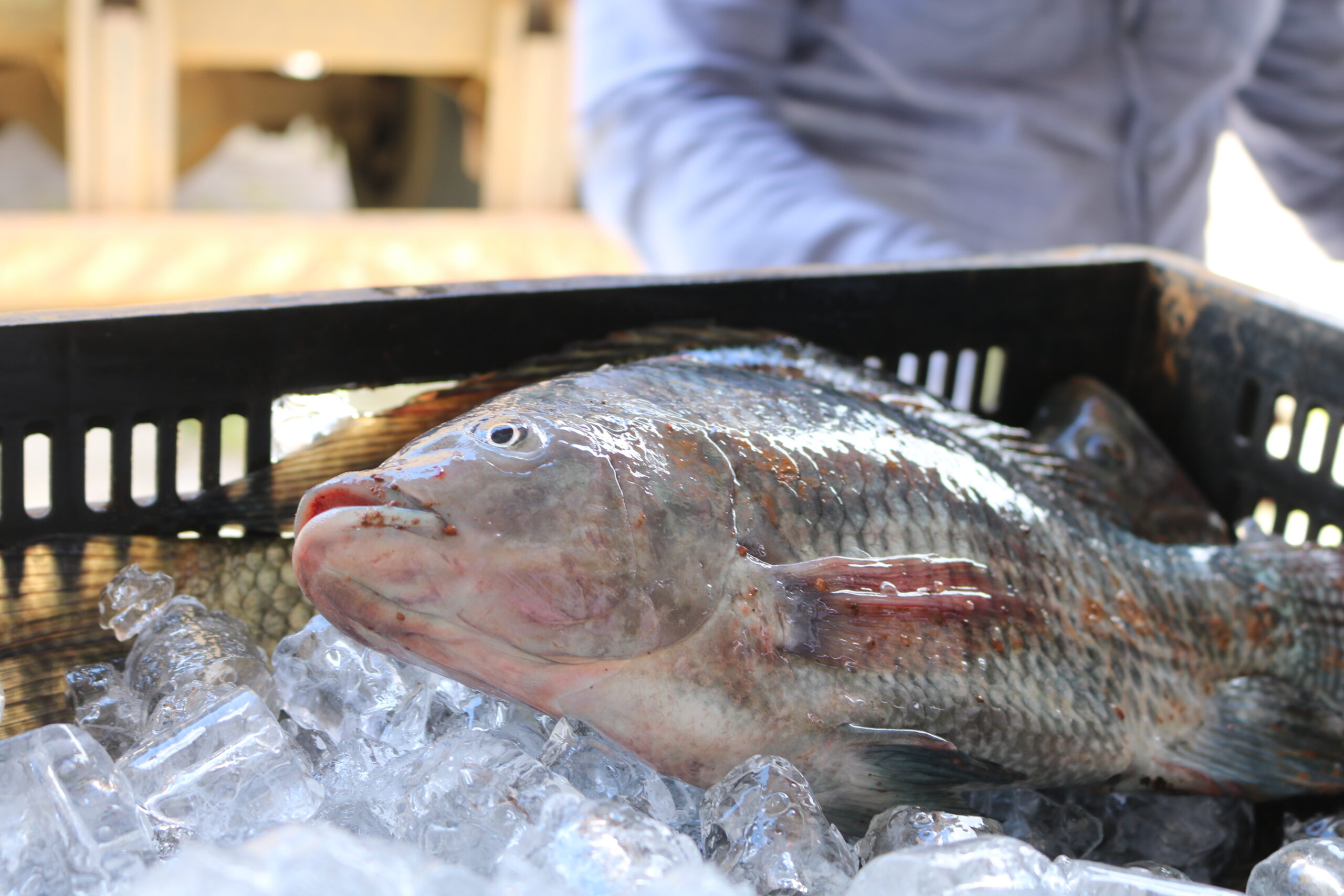 Vigilância Sanitária faz últimos ajustes para operação especial de Semana Santa&nbsp;