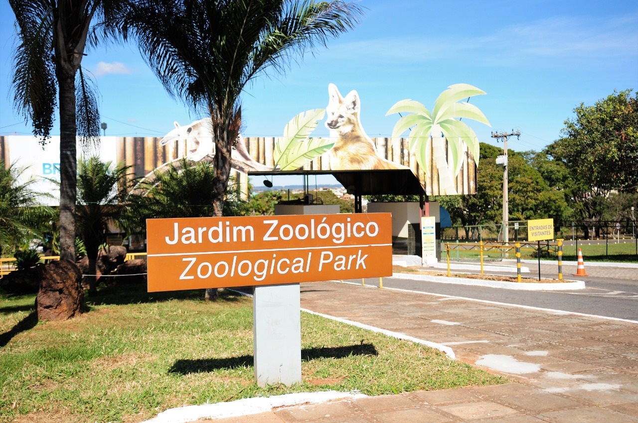 Zoológico de Brasília celebra aniversário da capital com programação especial gratuita
