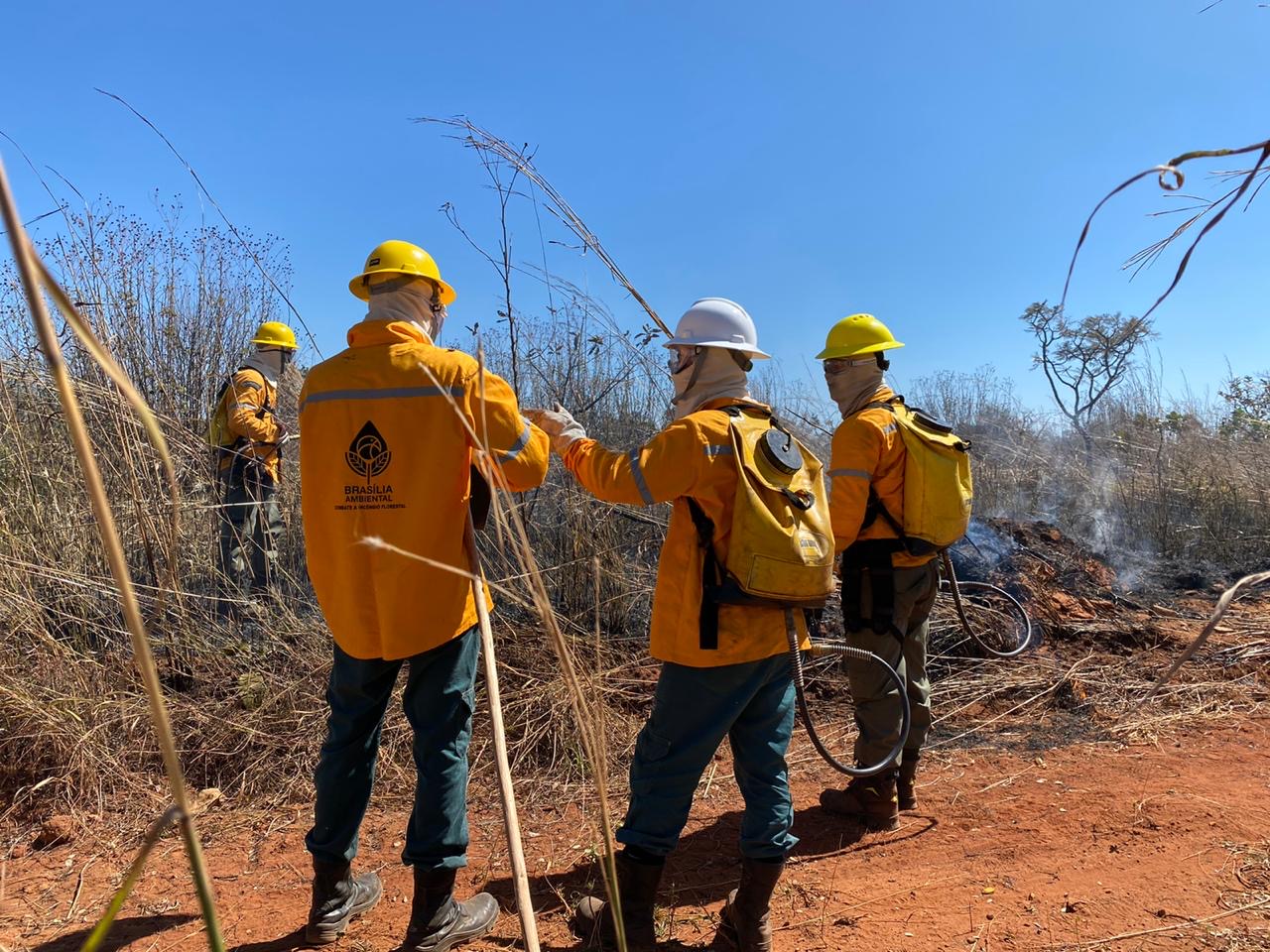 Lançado edital para contratação temporária de 150 brigadistas florestais