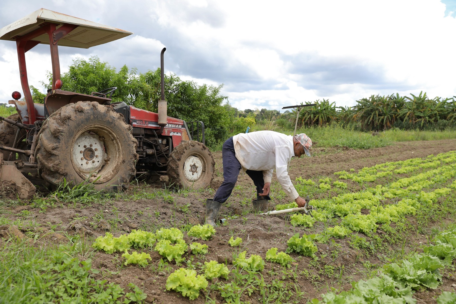 Na AgroBrasília, ETR comemora três anos de resultados importantes