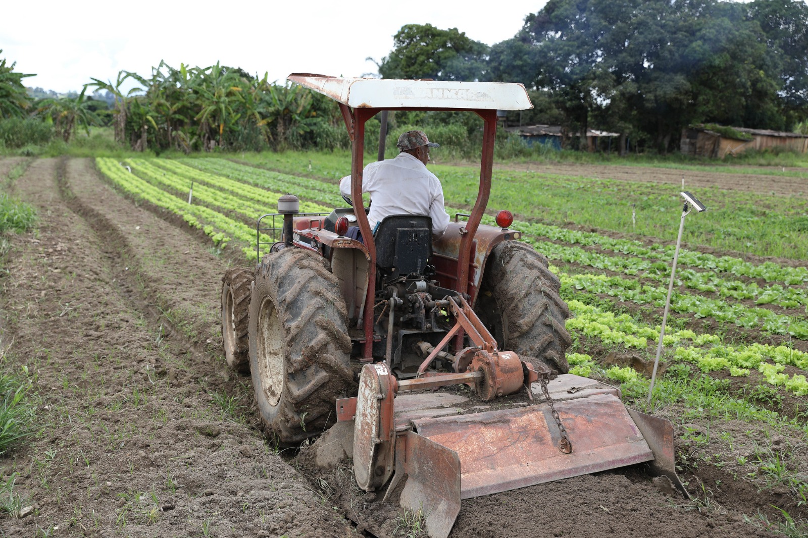 Produtores rurais contam com novo programa de renegociação de dívidas