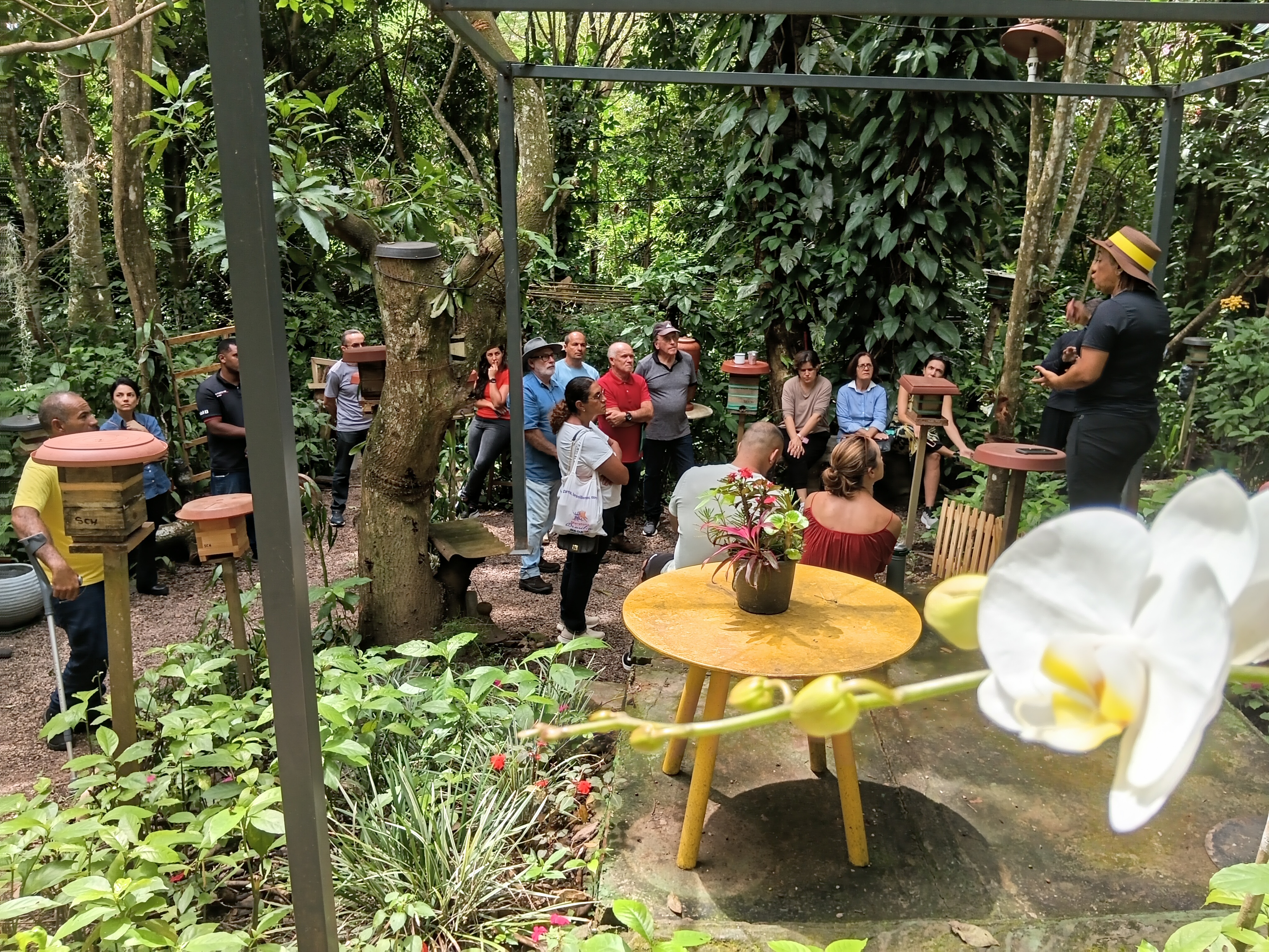 Curso capacita produtores na criação de abelhas nativas sem ferrão