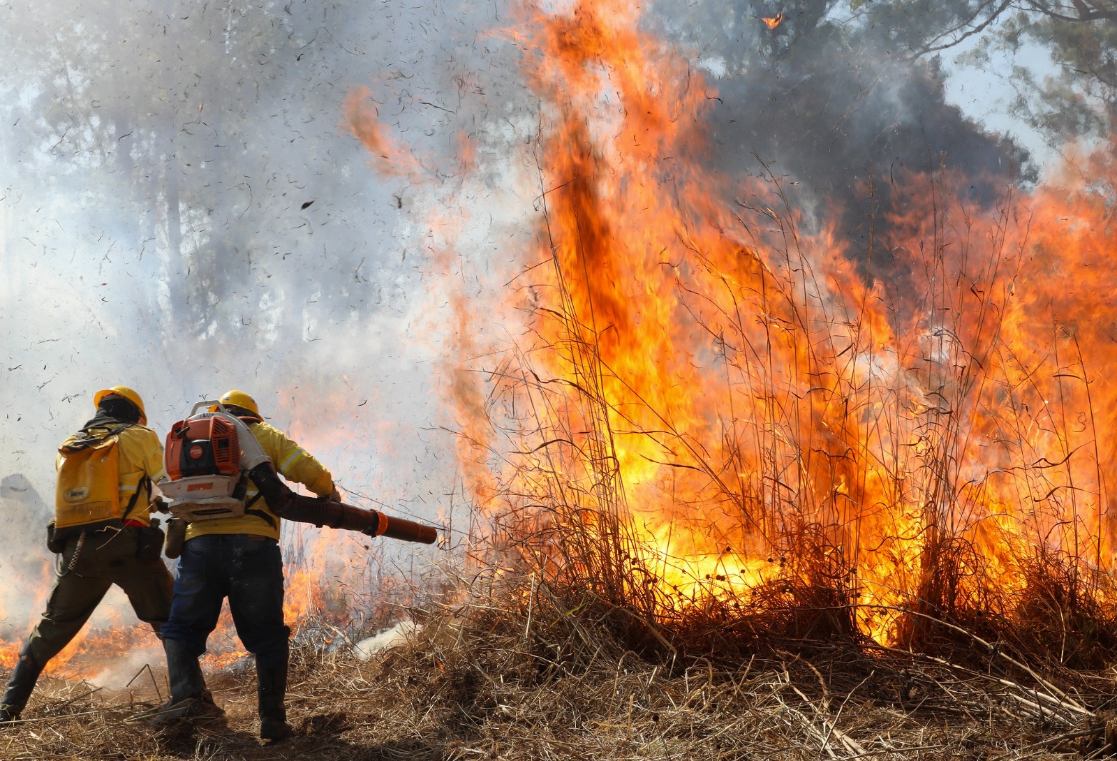 Sai resultado preliminar do curso de formação de brigadas florestais