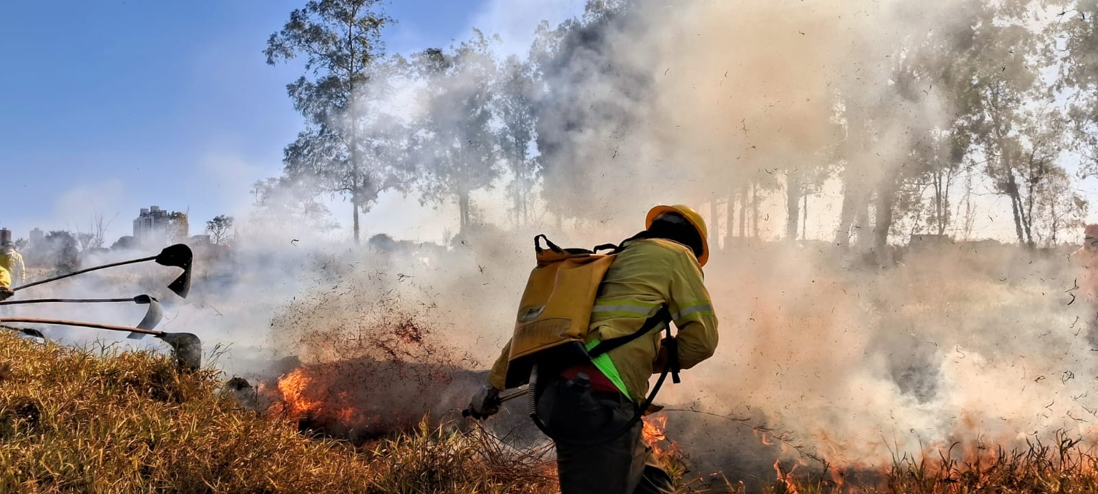 DF amplia combate a incêndios florestais utilizando inteligência artificial
