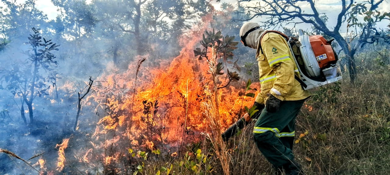 Fórum do GDF vai traçar estratégias contra incêndios florestais para 2026