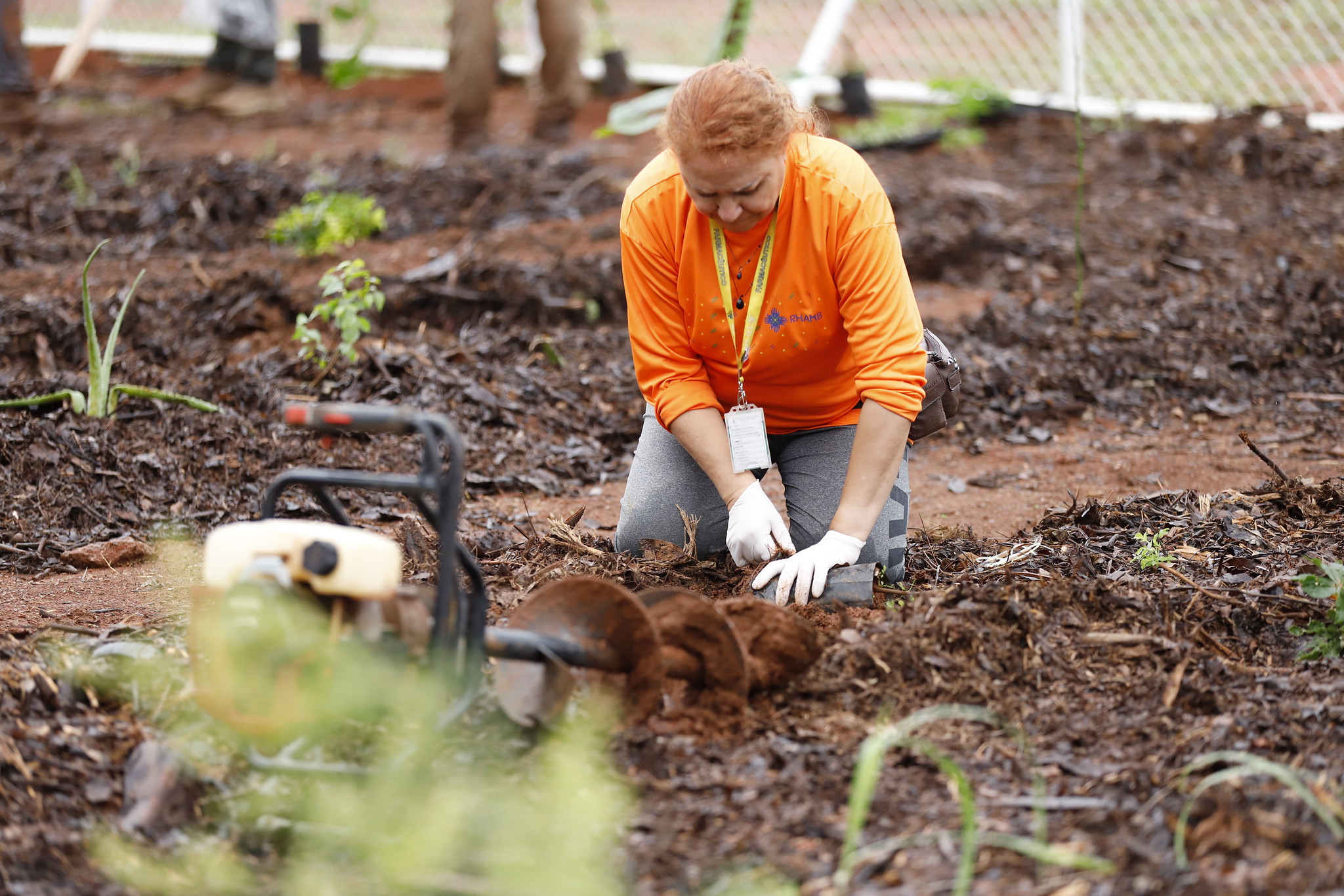 UBS 5 do Riacho Fundo II ganha horto agroflorestal&nbsp;
