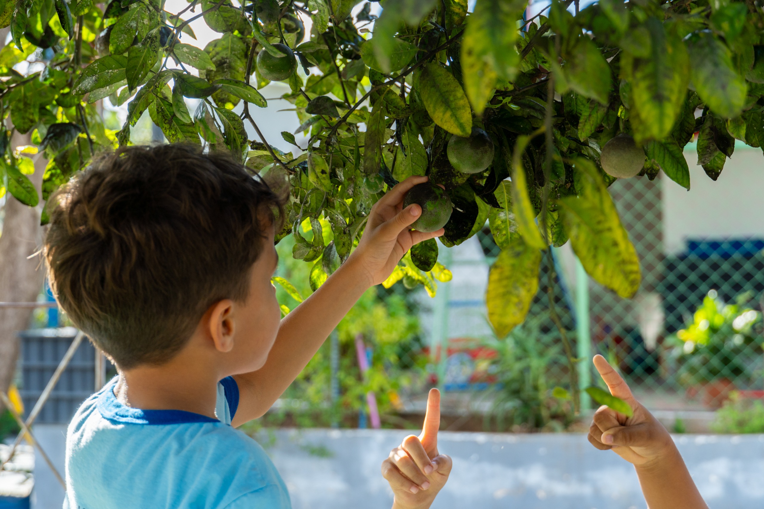 Escolas públicas do Distrito Federal formam guardiões do meio ambiente