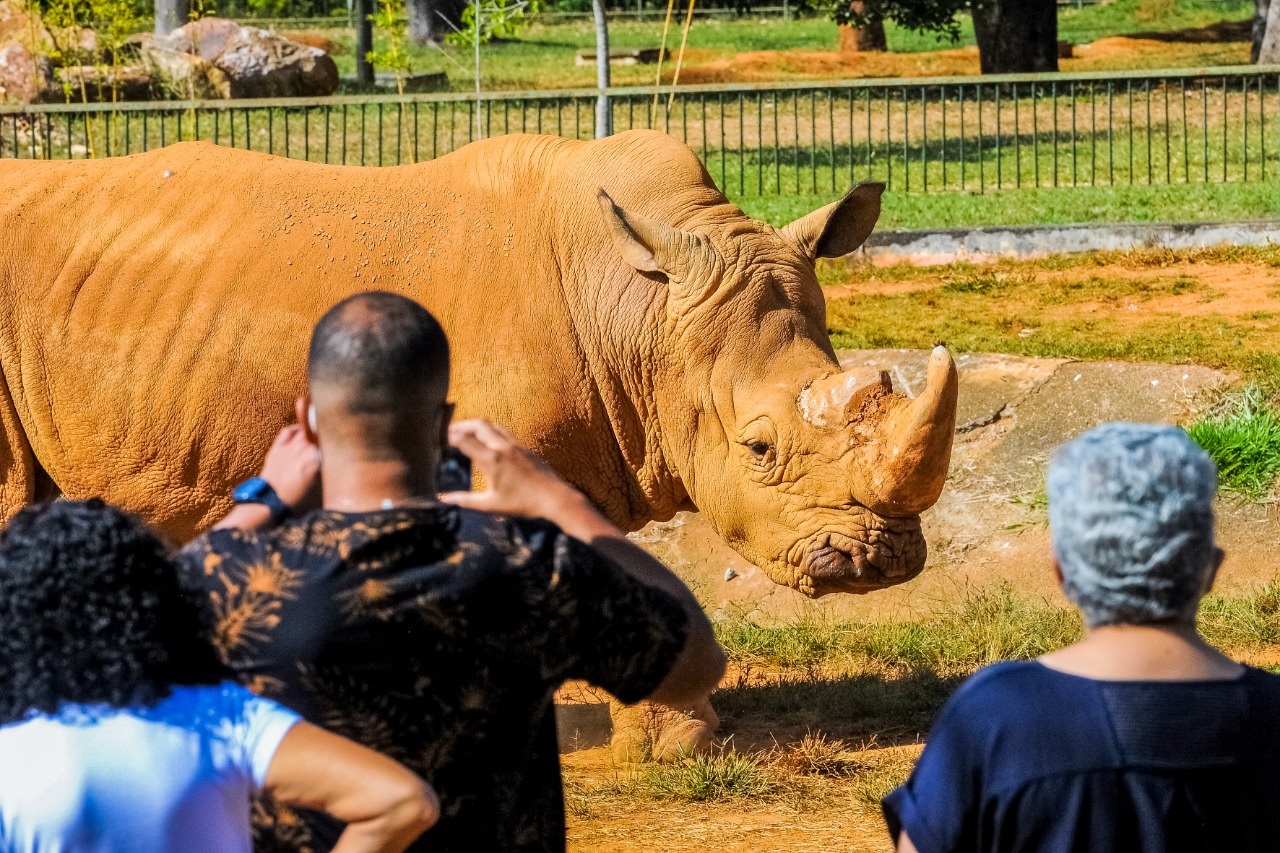 Zoológico de Brasília lança especial Missão Zoo