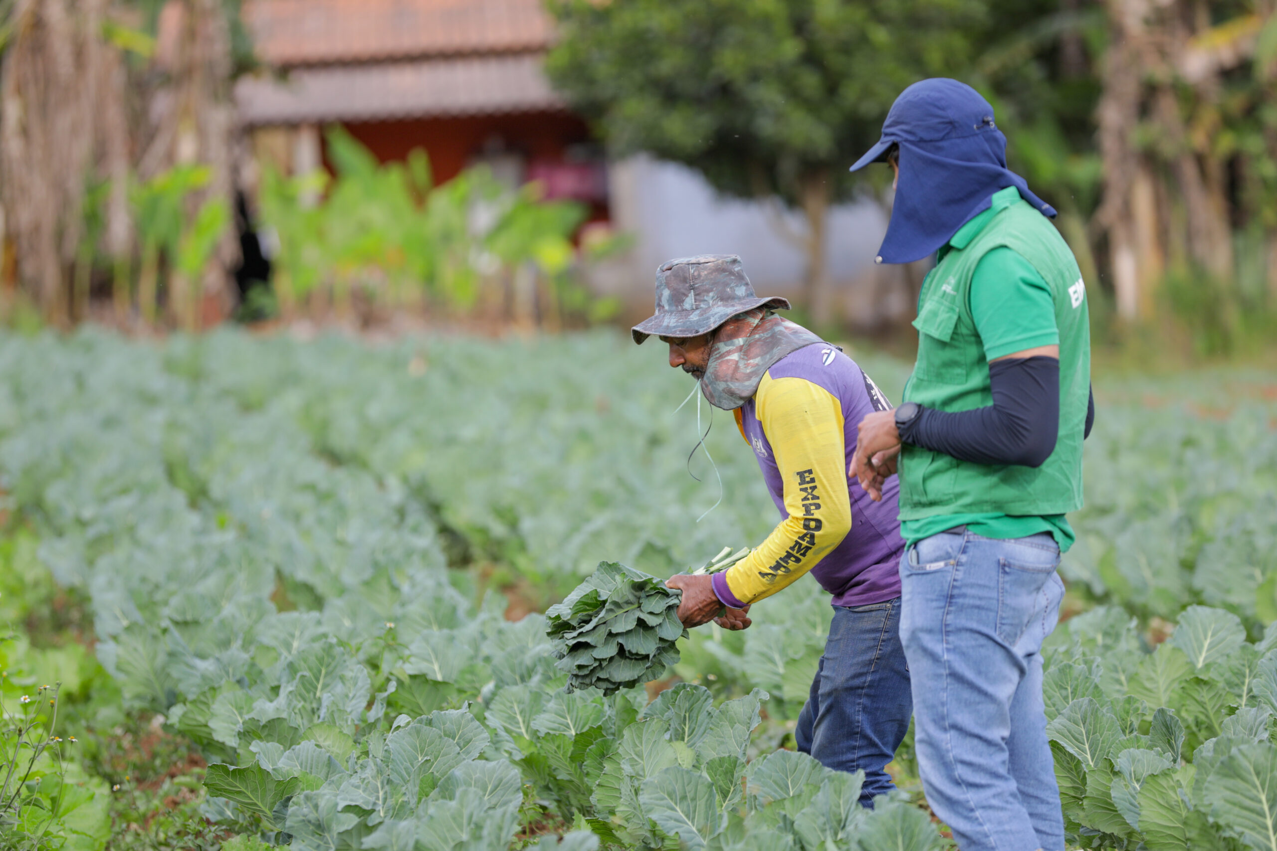 Emater-DF: programas elaborados em parceria aprimoram atendimento