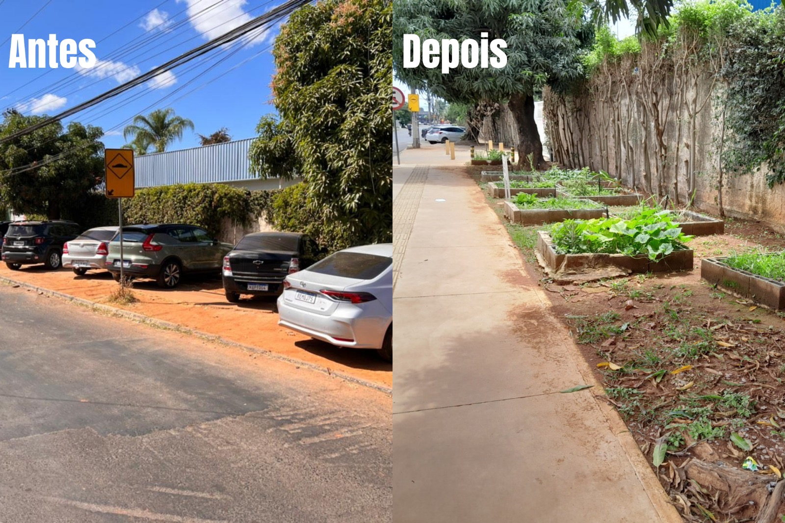 Mais quatro espaços do Guará ganham termo de adoção pelo programa Adote uma Praça