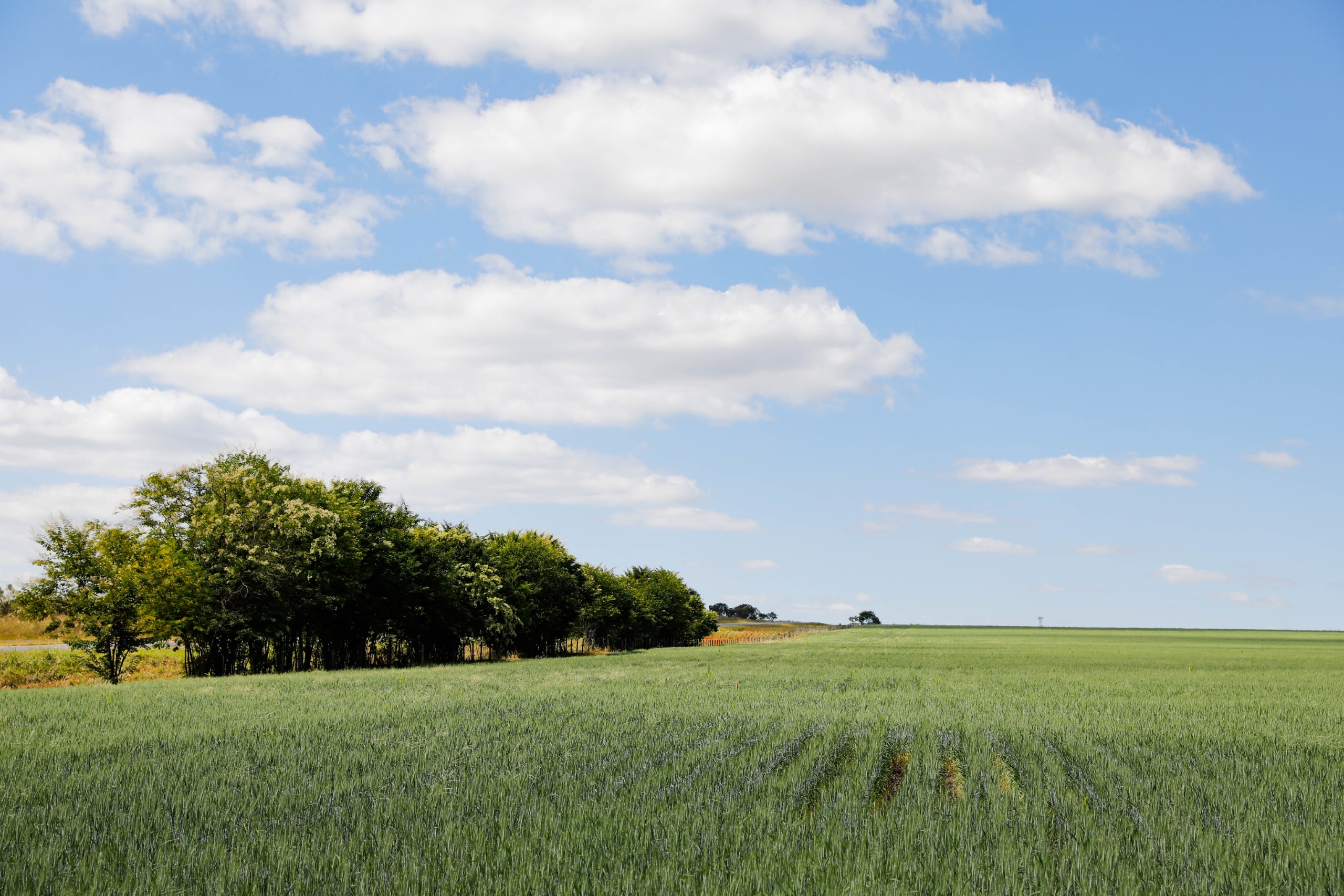 Novo acordo de cooperação favorece pesquisas na agropecuária