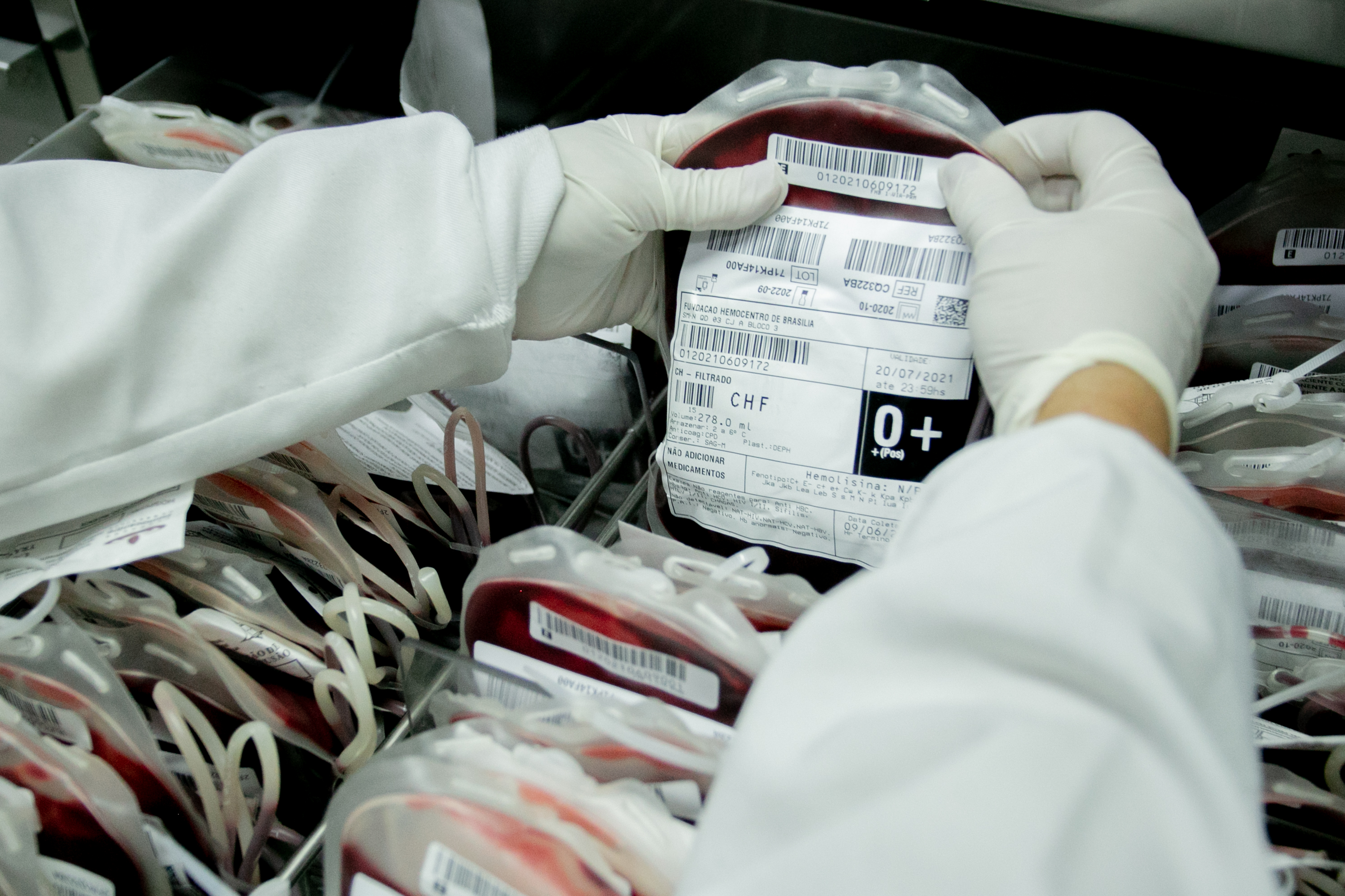 Conselho de Saúde aprova Plano Diretor de Sangue 2024-2027 do Hemocentro de Brasília