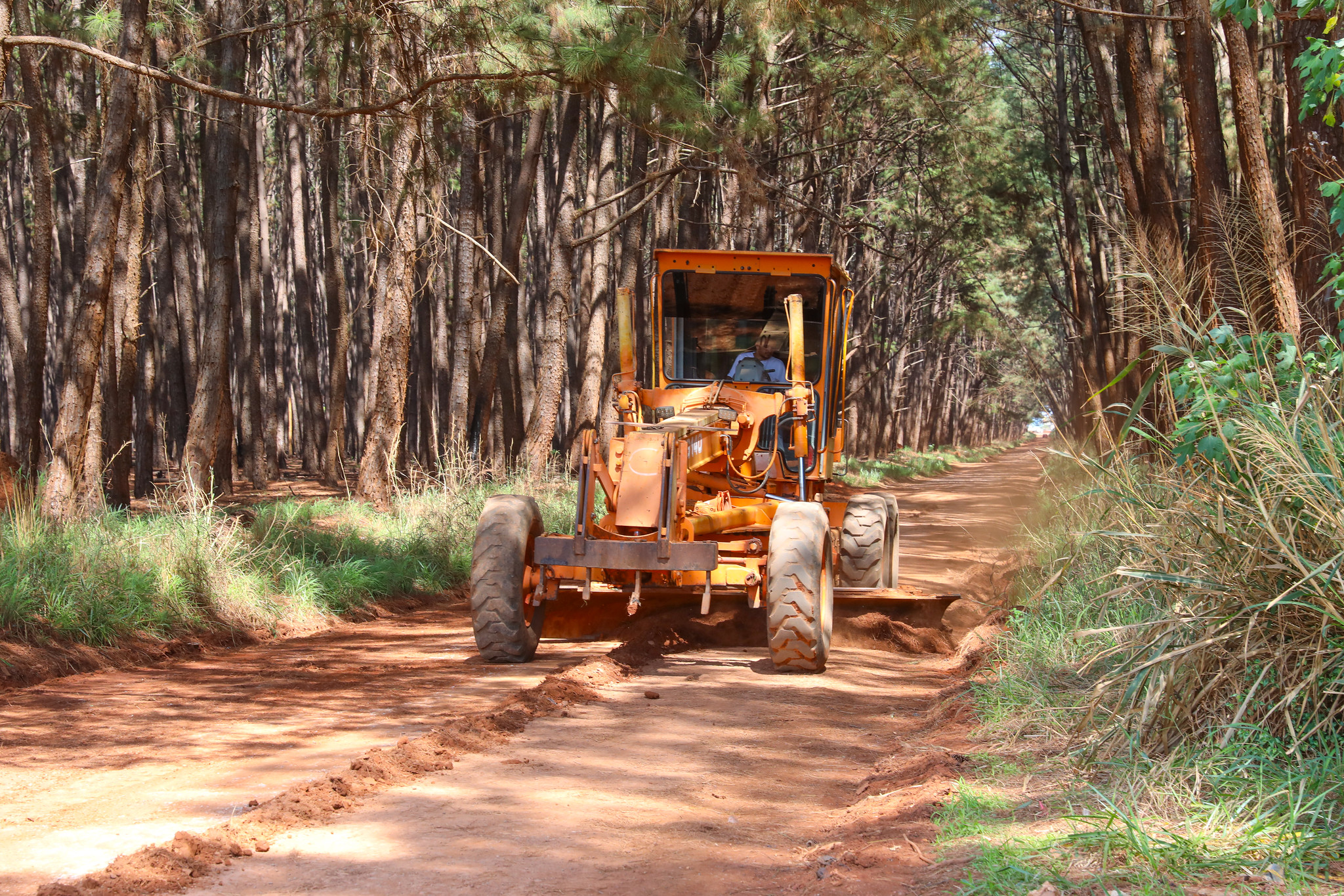 GDF já recuperou 1,2 mil km de vias não pavimentadas, beneficiando 100 mil pessoas