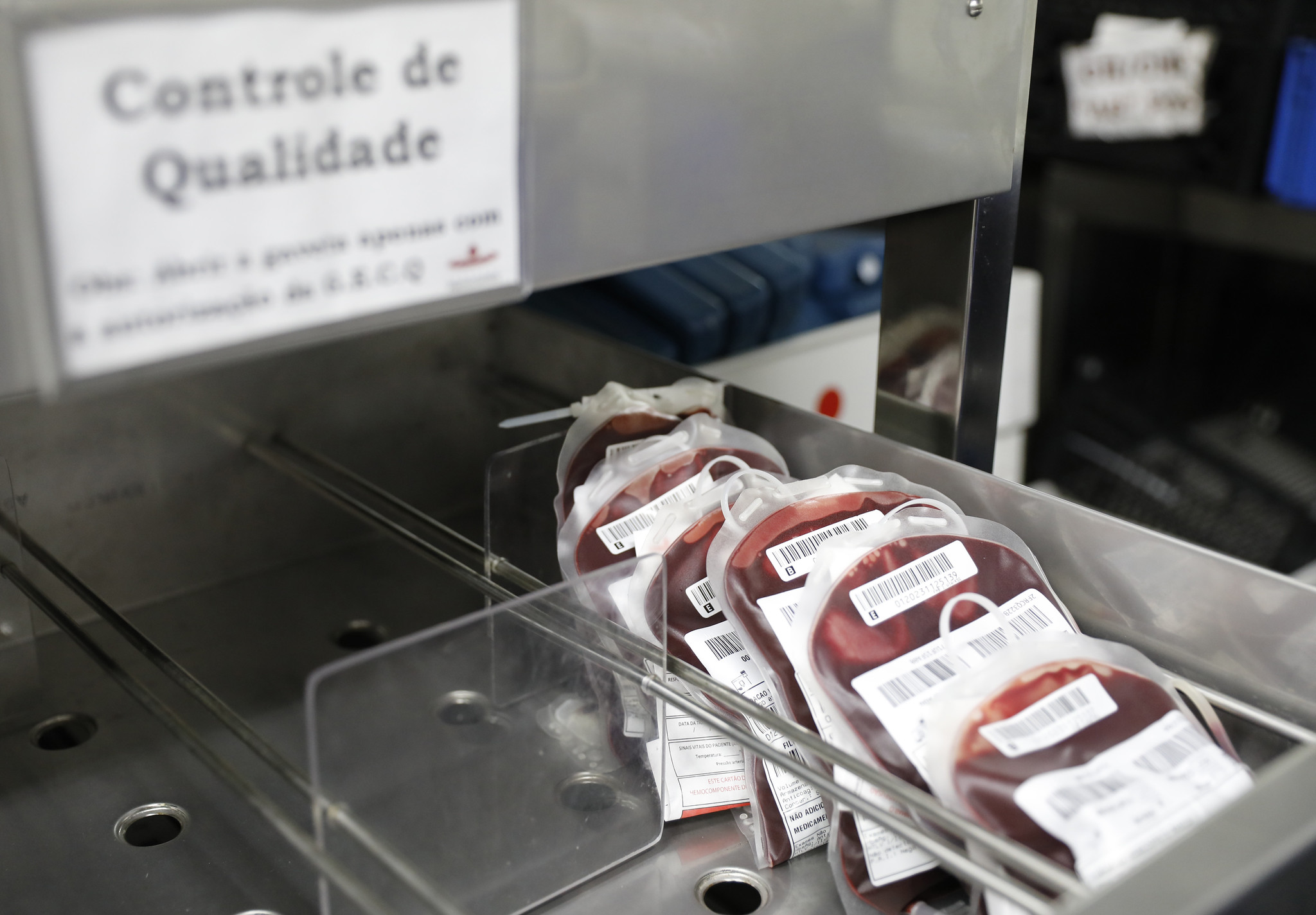 Abertas inscrições para curso online sobre transfusão de hemocomponentes