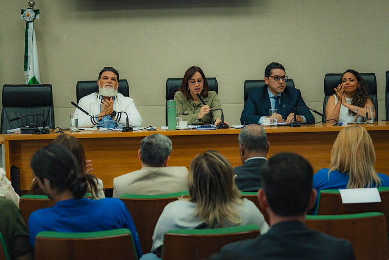 Secretaria de Saúde presta contas à Câmara Legislativa em audiência pública