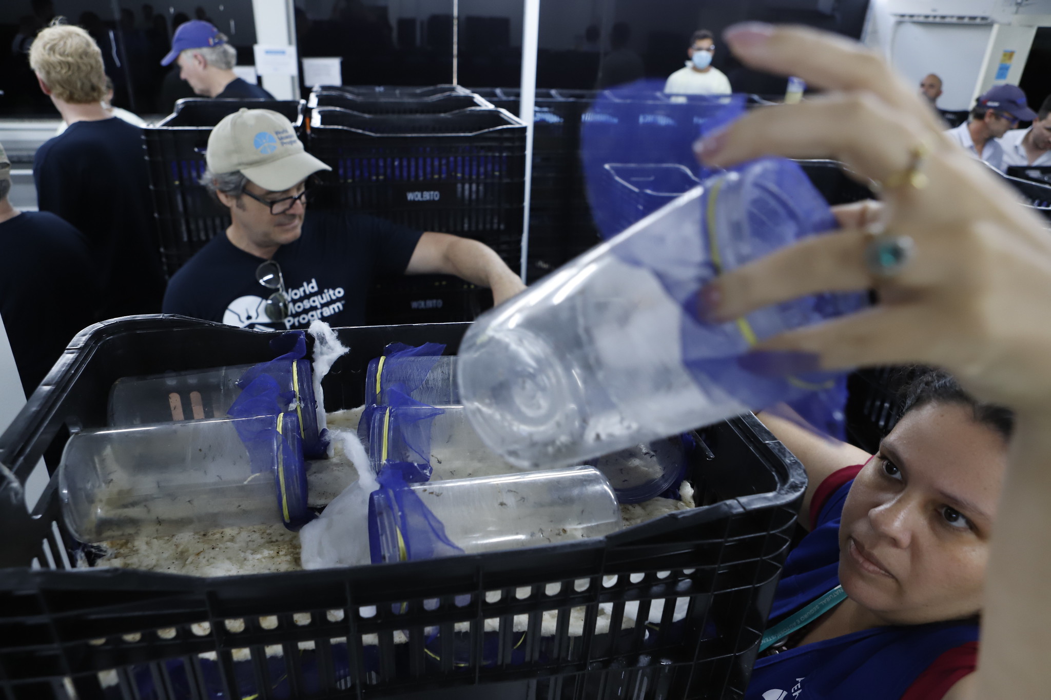 Delegação internacional visita biofábrica de wolbitos no Distrito Federal