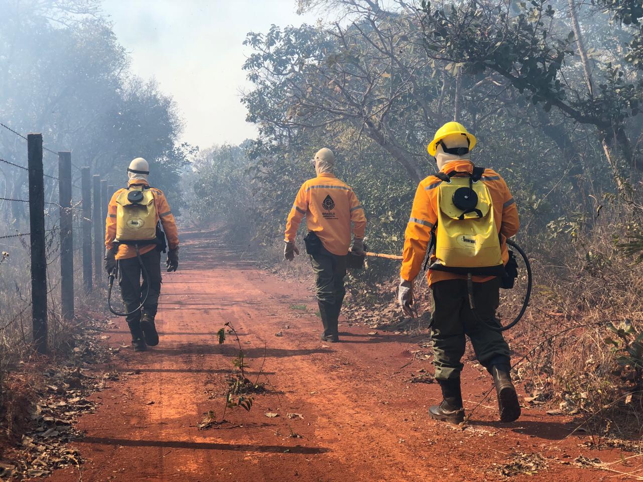 Brasília Ambiental destaca investimentos na brigada florestal em 2024