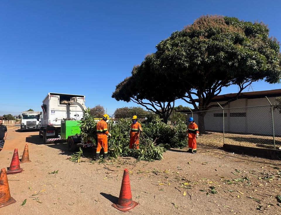 Ceilândia ganha mais segurança com reforço na iluminação pública e poda de árvores