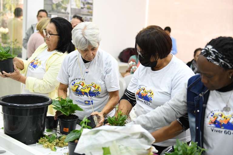 Viver 60 +: Mais de 50 pessoas idosas participam de oficina de jardinagem