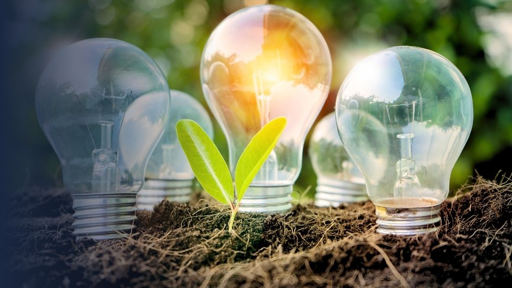 Embaixada da Alemanha inaugura exposição sobre transição energética na Biblioteca Nacional de Brasília