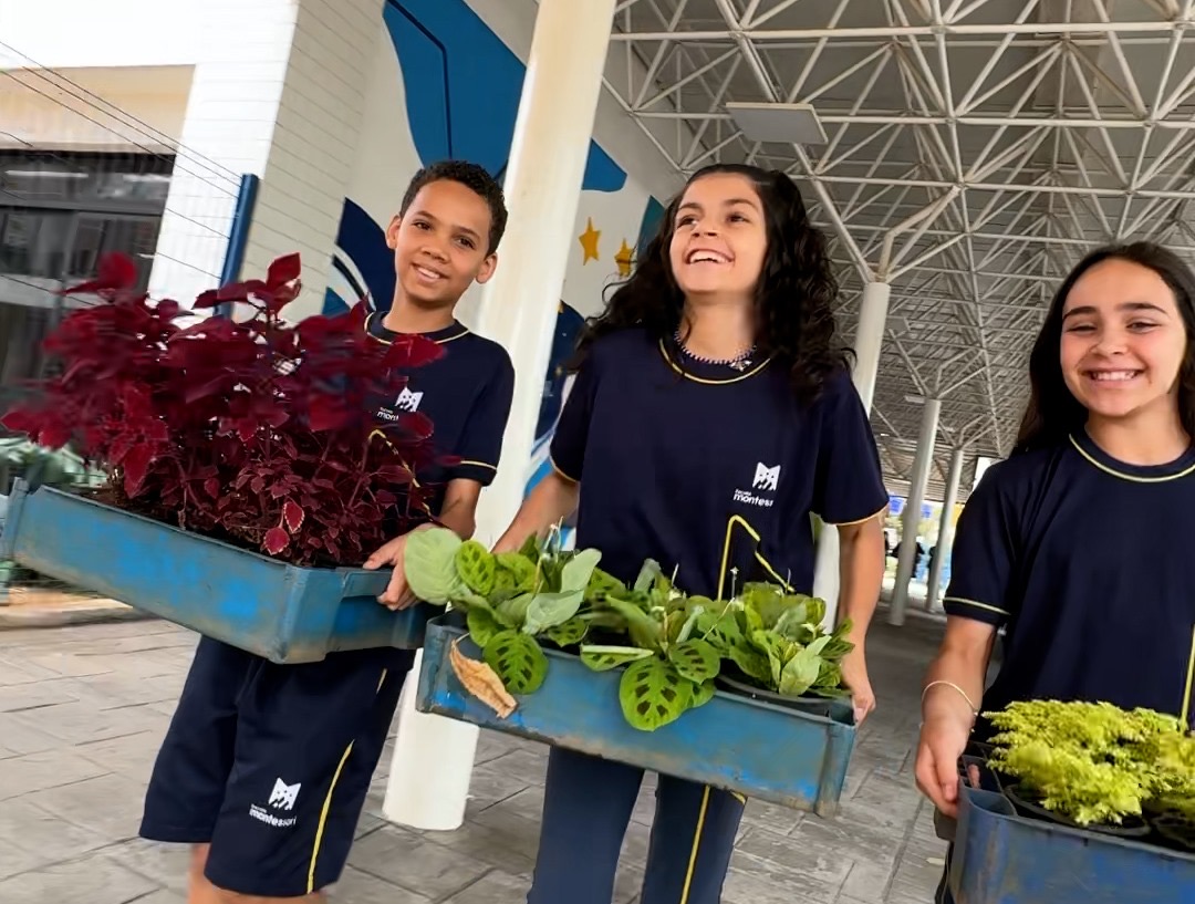 Crianças trocam brinquedos por mudas de plantas e espalham solidariedade na campanha Vem Brincar Comigo
