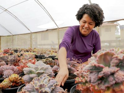 Mulheres que transformam o campo: A força feminina do agronegócio do Distrito Federal