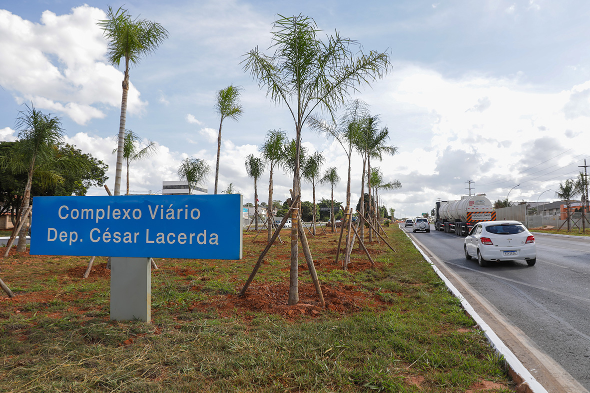 Complexo Viário do Riacho Fundo recebe paisagismo com espécies nativas do Cerrado