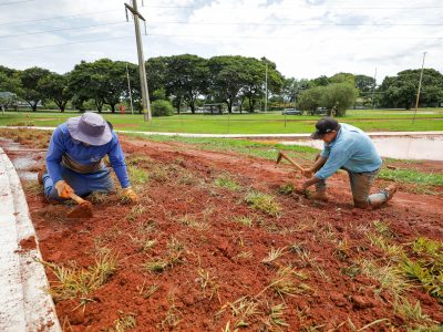 Plantio de grama no Parque Internacional da Paz marca início do paisagismo do Drenar DF