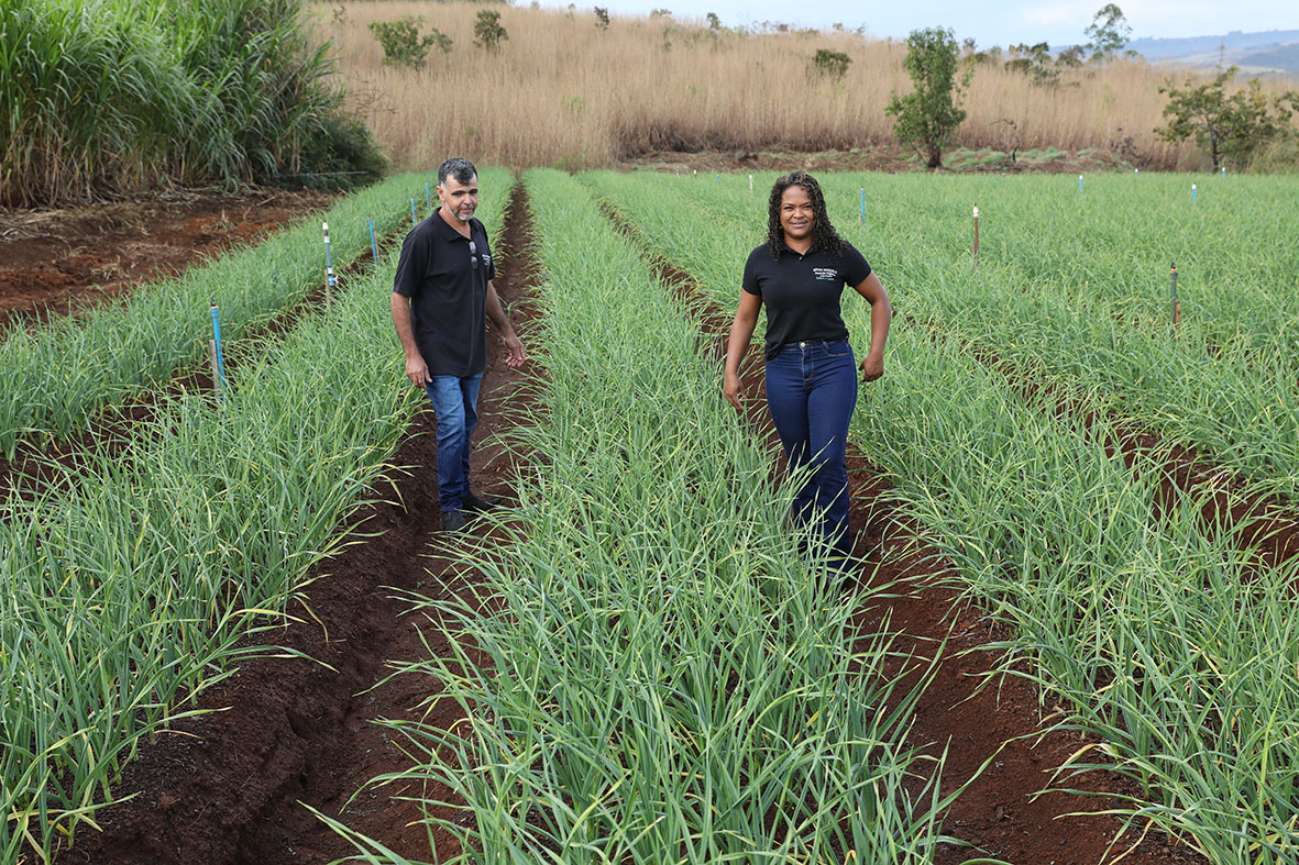 Do campo para a mesa: DF soma mais de 1,2 mil projetos e R$ 67 milhões em crédito rural desde 2019