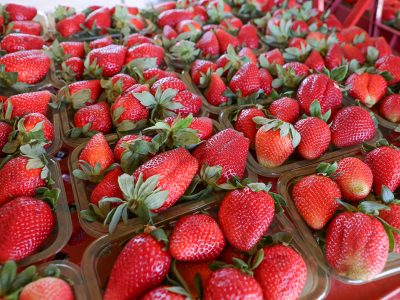 Festa do Morango, em Brazlândia, deve reunir mais de 500 mil pessoas a partir desta sexta (6)