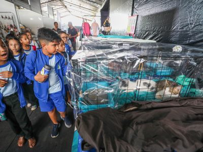 Estudantes da rede pública aprendem sobre cuidado com animais em feira pet, no Parque da Cidade