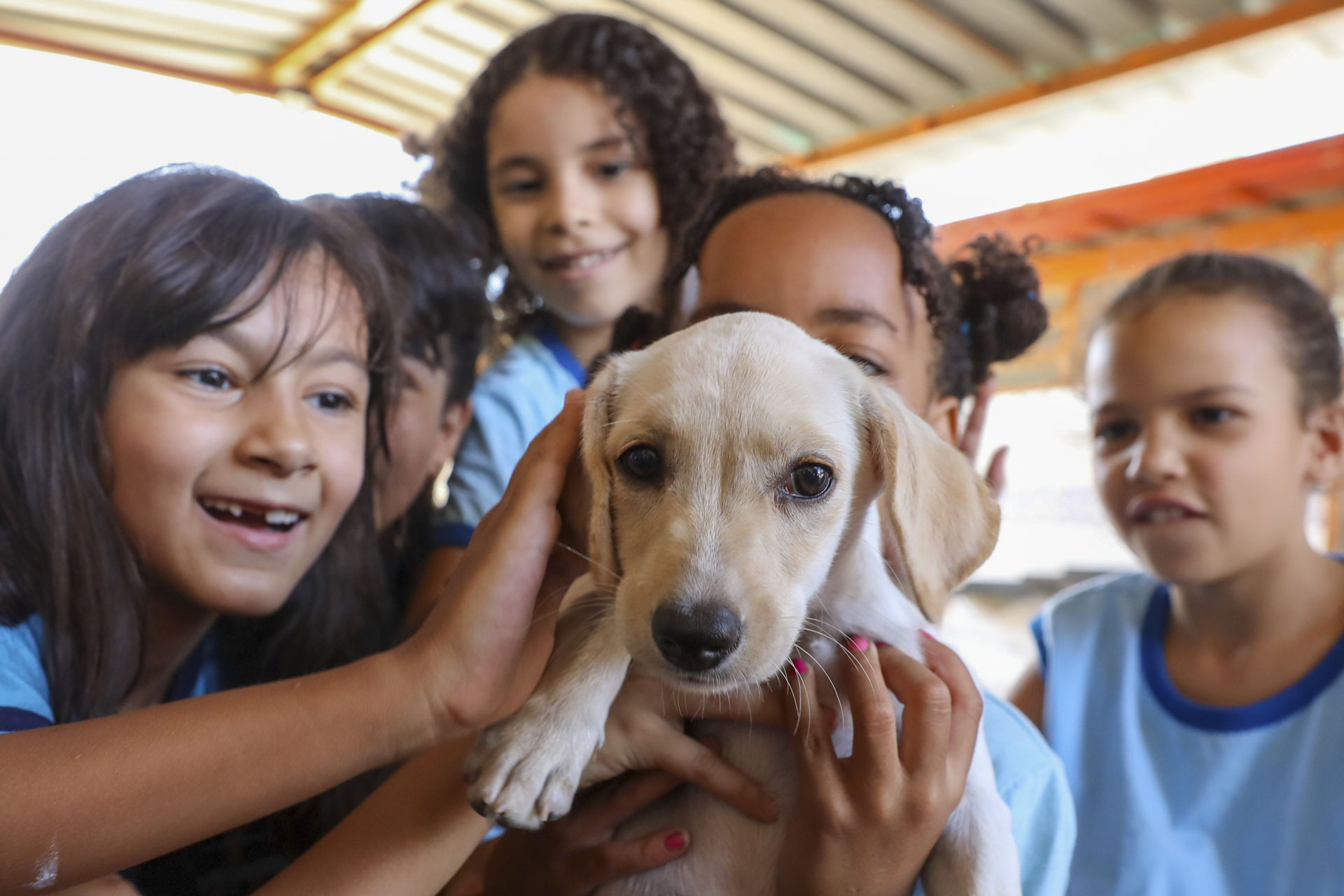 Escola do Gama adota cachorrinha resgatada pelo Castra DF e transforma rotina dos alunos