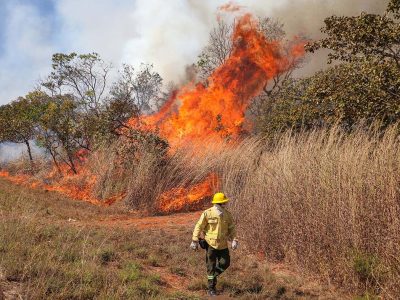 Uso de fogo controlado previne incêndios florestais em Águas Emendadas