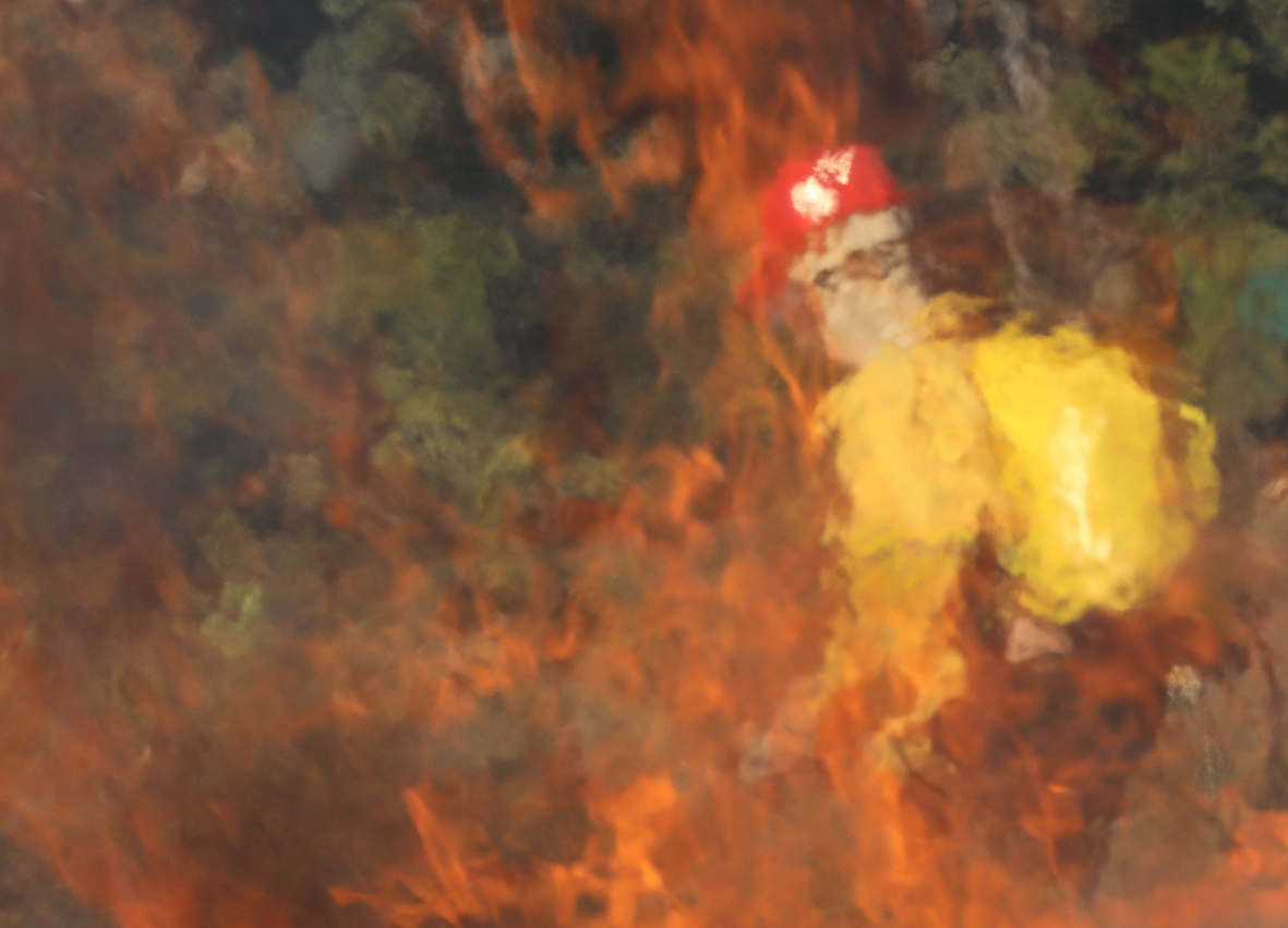 Treinamento de brigadistas reforça prevenção a incêndios florestais no DF