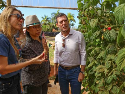 Agro do Quadrado: Rota da Fruticultura desperta interesse de missão da Malásia