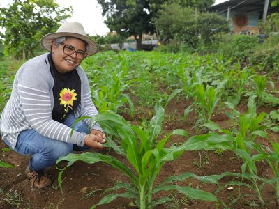 Programa de agricultura urbana estimula produção de baixo custo e contribui com segurança alimentar do DF