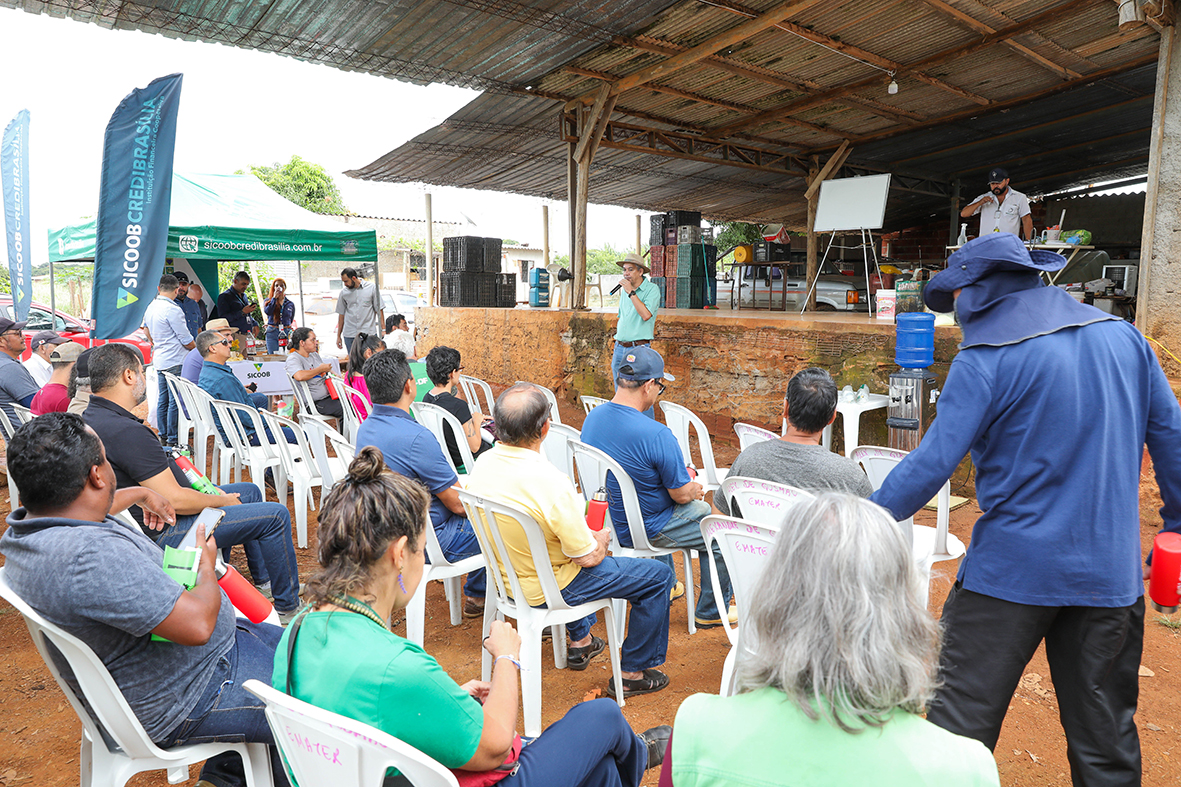 Oficinas preparam produtores do DF para a 10ª edição da Feira da Goiaba