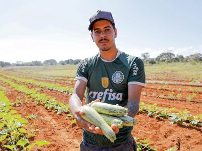 Agro do Quadrado: Técnica inovadora amplia capacidade de produção de hortaliças no DF