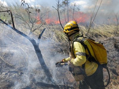 Queima controlada ajuda a evitar incêndios florestais em Águas Emendadas
