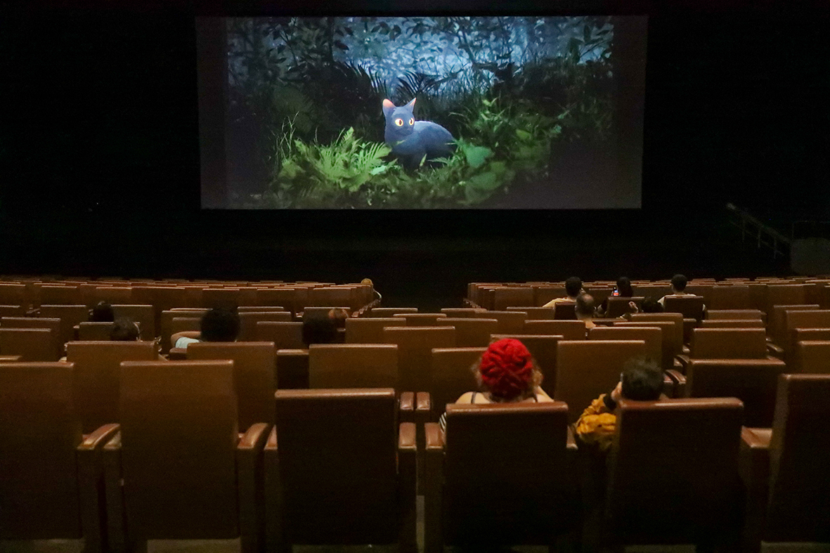 Cine Brasília promove sessão especial da animação ‘Flow’ para pessoas neurodivergentes
